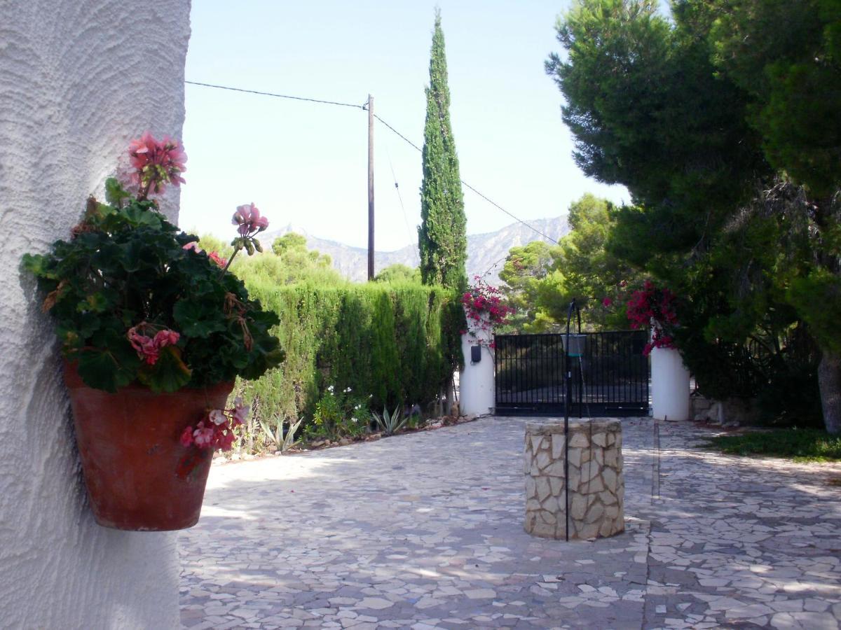 La Guarida Hotel - Alicante — Fotos 1