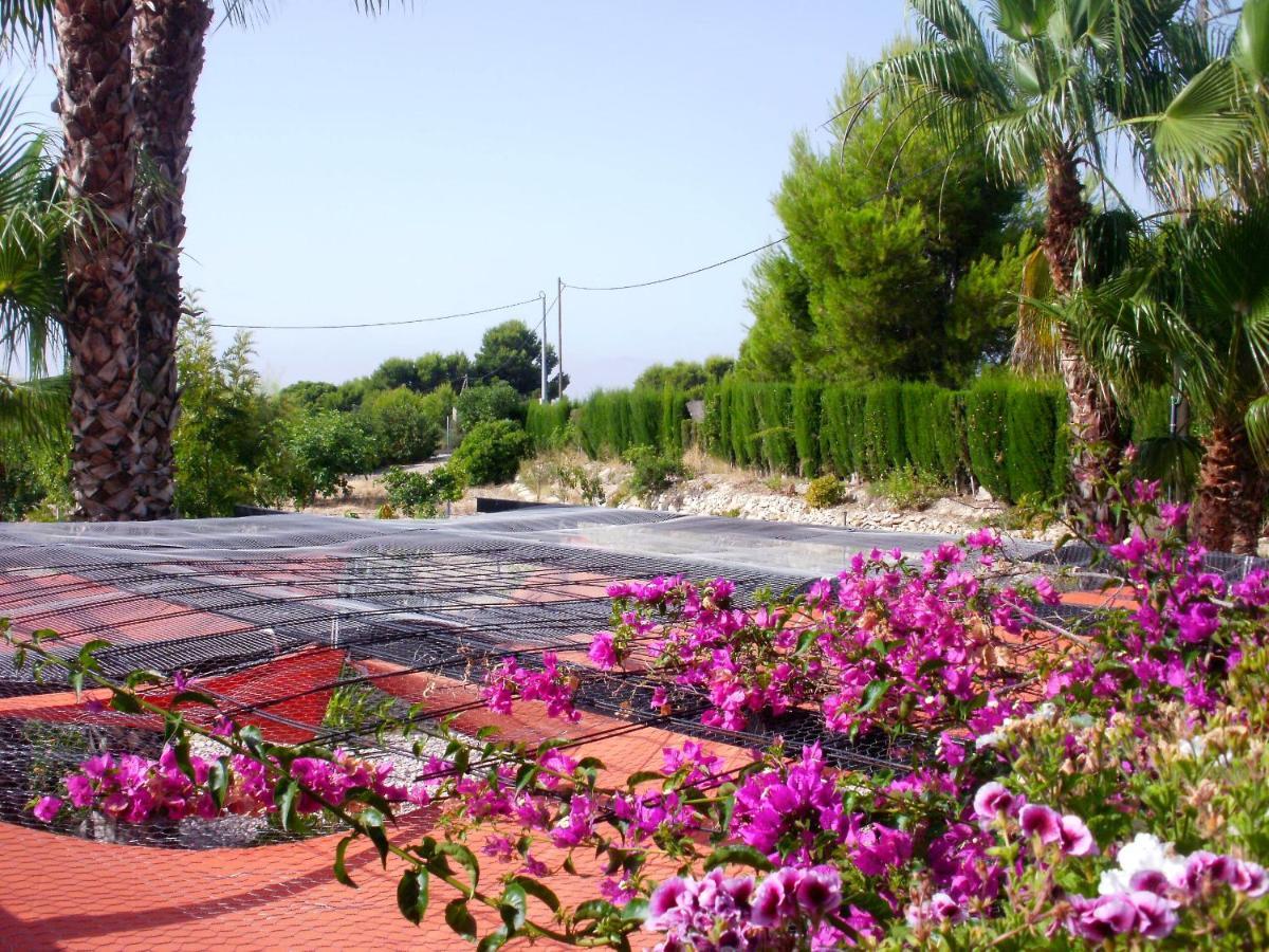 La Guarida Hotel - Alicante — Fotos 2